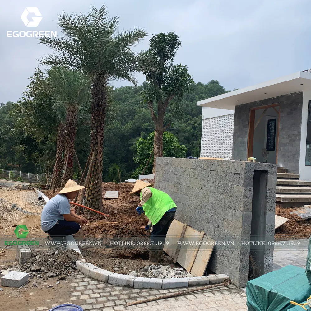 Chúng tôi tiến hành thi công hạng mục cứng như làm đường đi.